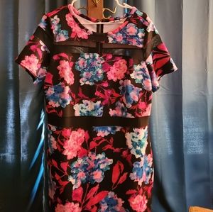 Pretty Mesh and Floral Dress